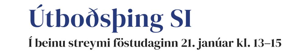 Útboðsþing SI
