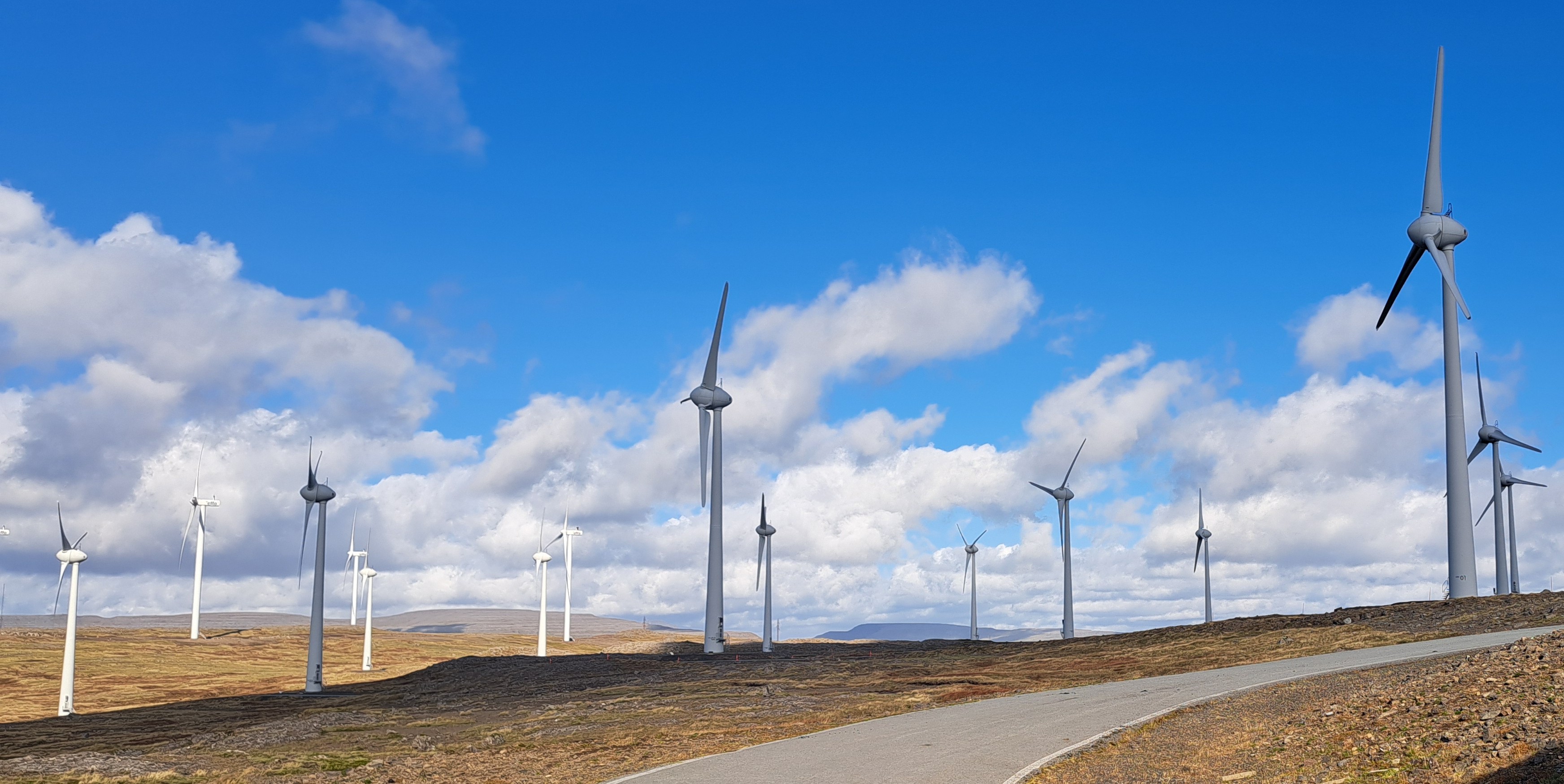 Aðalfundur Sart haldinn 7. mars – Kosning nýs formanns á dagskrá